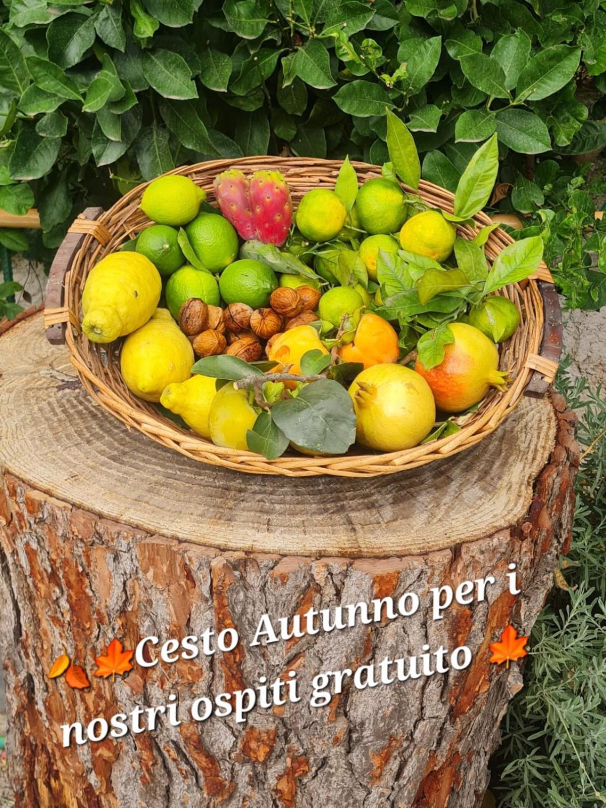 B&B Casa Vacanza Cioffi Vico Equense Ngoại thất bức ảnh