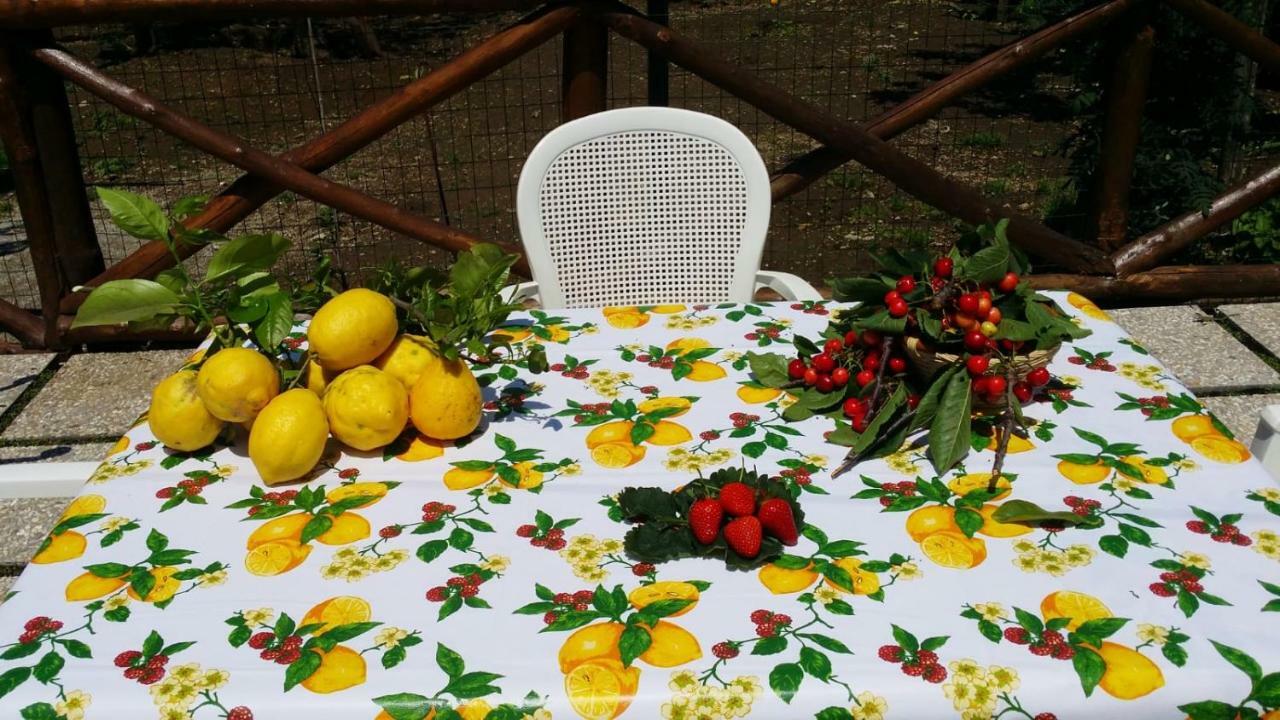B&B Casa Vacanza Cioffi Vico Equense Ngoại thất bức ảnh